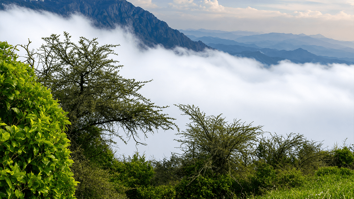 رحلة المغامرة والإطلالات